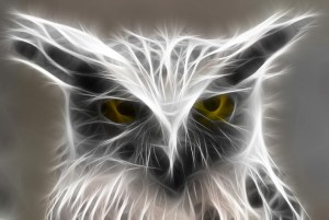 burung_hantu__by_tommyina96-d65au8u