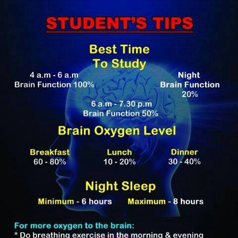 1381080_10201545393409049_1298762727_n