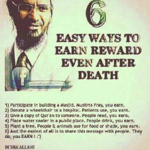 dr zakir 