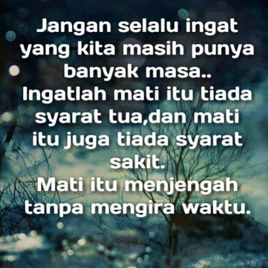 1552797_10202193593253640_1226305018_n